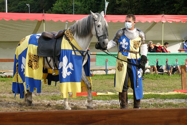 种态度和策 种态度和策