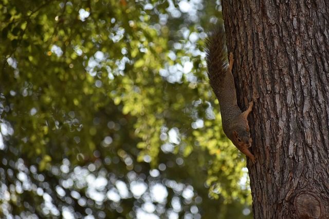 展现出更强 展现出更强