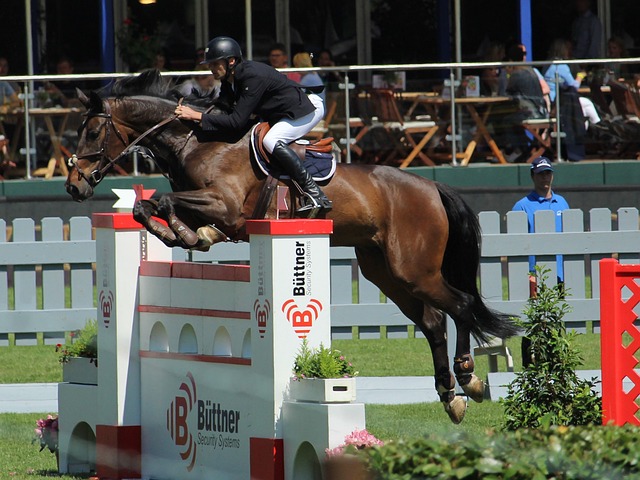 赛并不明智 赛并不明智