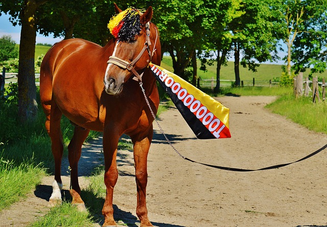而耶路撒冷 而耶路撒冷