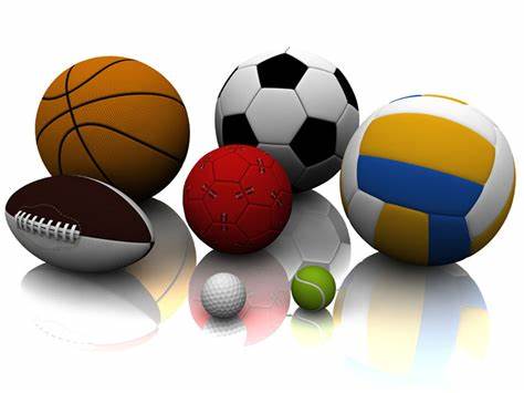 队的这一举 队的这一举