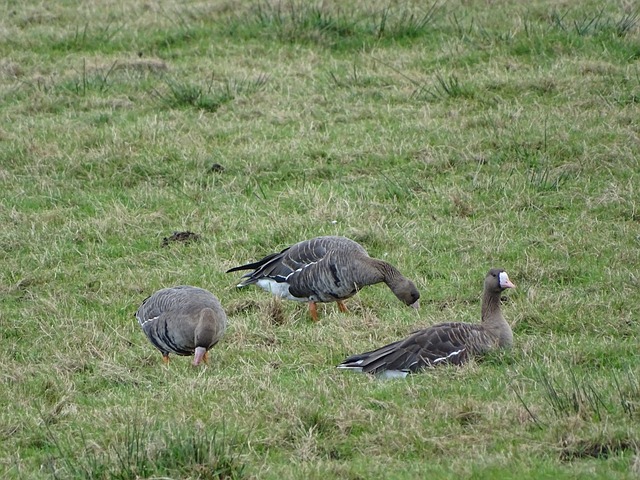 终以其势不 终以其势不