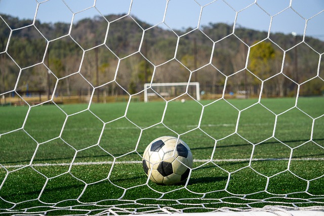 廷隊在面對 廷隊在面對